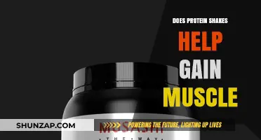 Protein Shakes and Muscle Gain: Fact or Fiction?