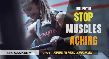 Protein's Role in Muscle Recovery: Fact or Fiction?