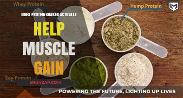Protein Shakes and Muscle Gain: Fact or Fiction?