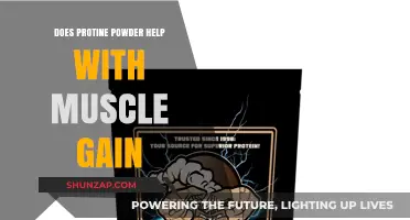 Protein Powder and Muscle Gain: Fact or Fiction?