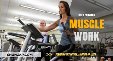 Does Provitra Muscle Work? Unveiling the Truth Behind This Supplement