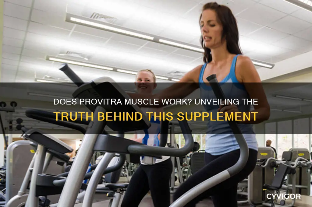 does provitra muscle work