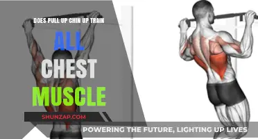 Pull-Ups vs. Chin-Ups: Do They Train All Chest Muscles?