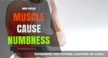 Pulled Muscles: Can They Cause Numbness?