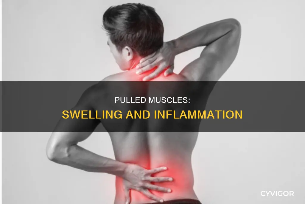 does pulled muscle cause swelling
