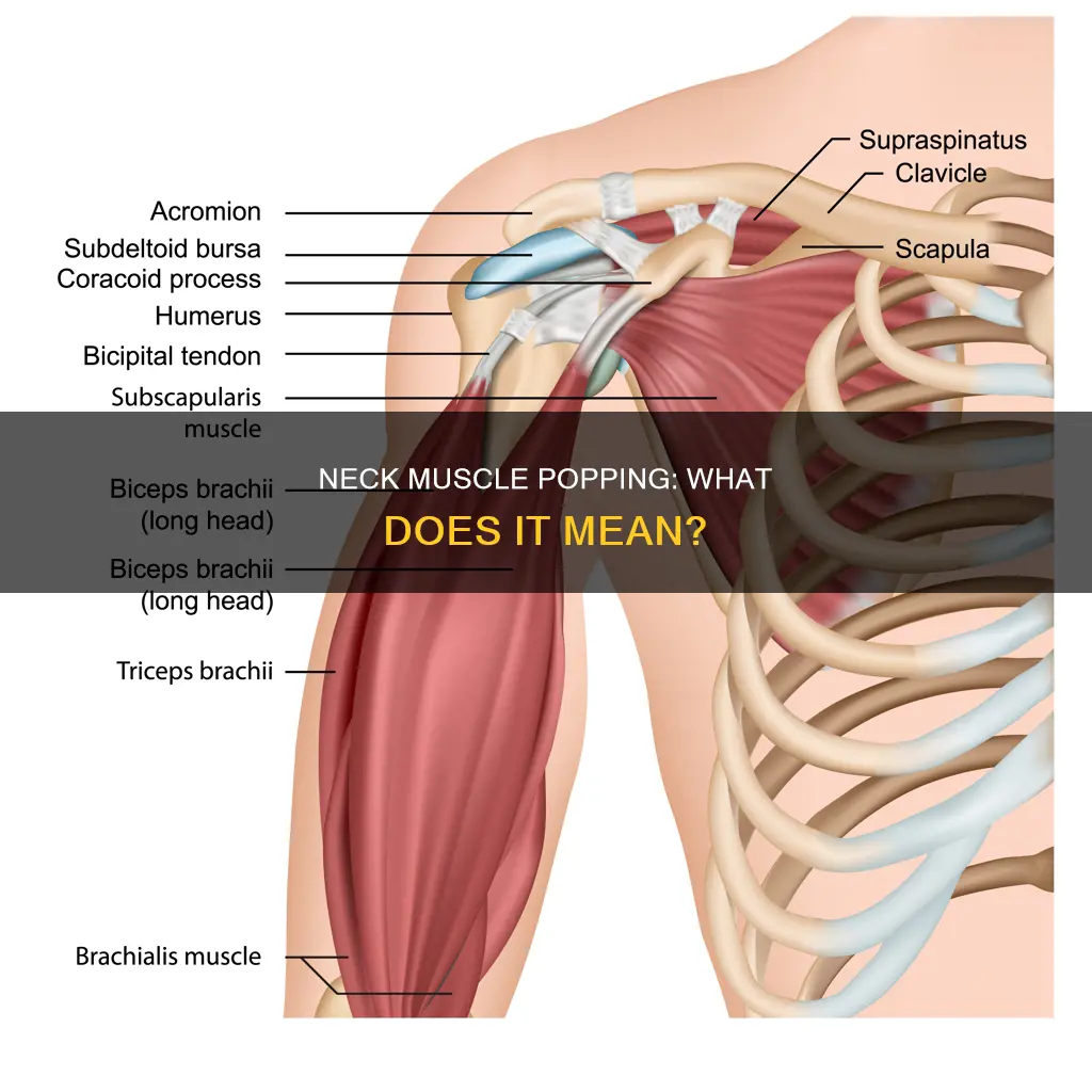 does pulled neck muscle cause popping when turn head