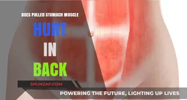 Pulled Stomach Muscle: Can It Cause Back Pain? Find Out Here