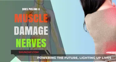 Muscle Pulls and Nerve Damage: Understanding the Connection and Risks