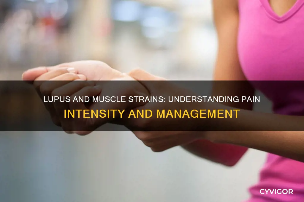 does pulling a muscle hurt more with lupus
