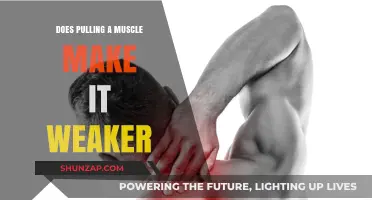 Does Muscle Pulling Weaken Strength? Understanding Recovery and Long-Term Effects
