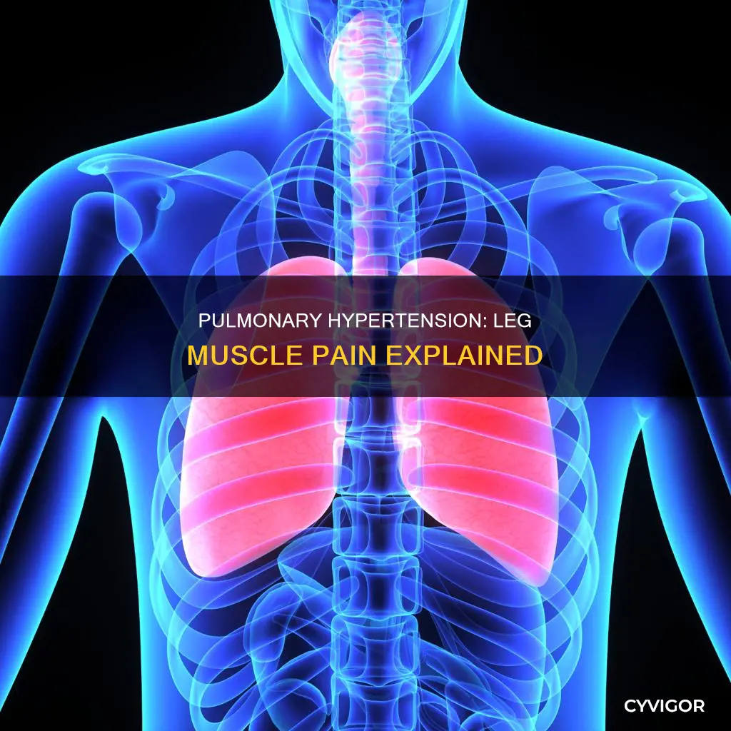 does pulmonary hypertension cause muscle pain in the legs