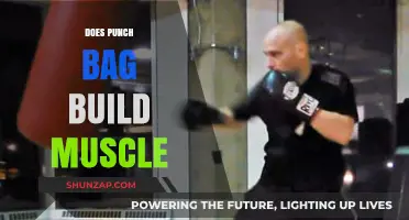 Punch Bag Power: Unveiling the Muscle-Building Potential of Heavy Bag Training