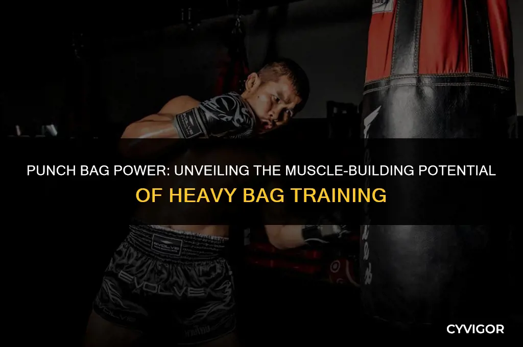 does punch bag build muscle