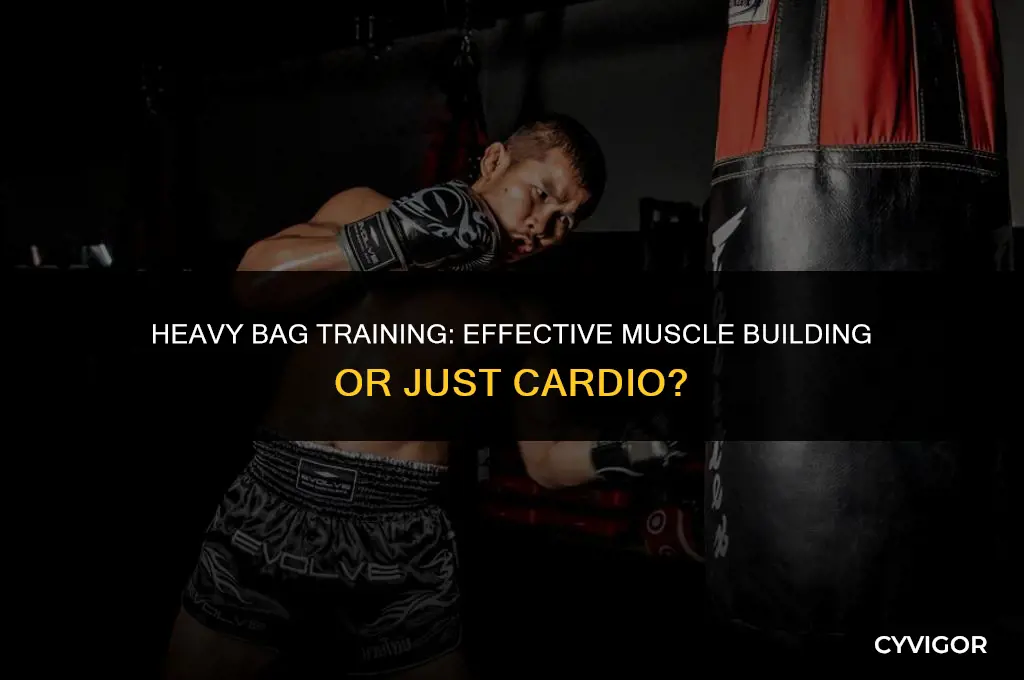 does punching a heavy bag build muscle