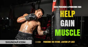 Punching Bag Workouts: Effective for Muscle Gain or Just Cardio?