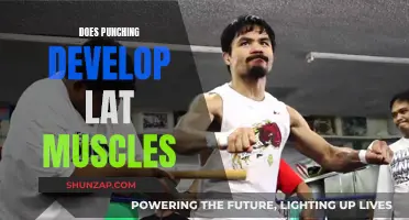 Punching: Can It Develop Your Latissimus Dorsi?