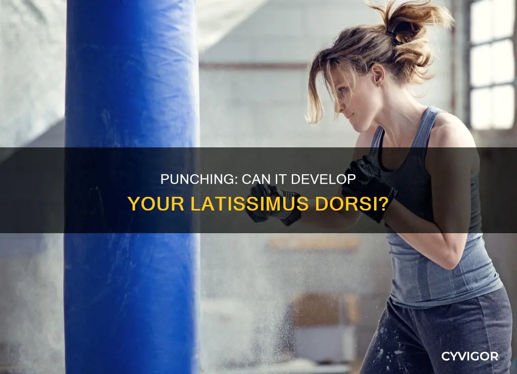 does punching develop lat muscles