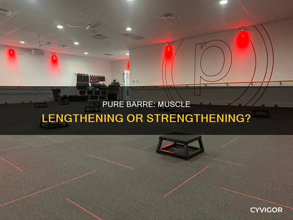 does pure barre lengthen muscles