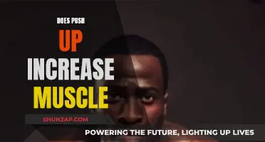 Push-ups: Effective Way to Build Upper Body Muscle?