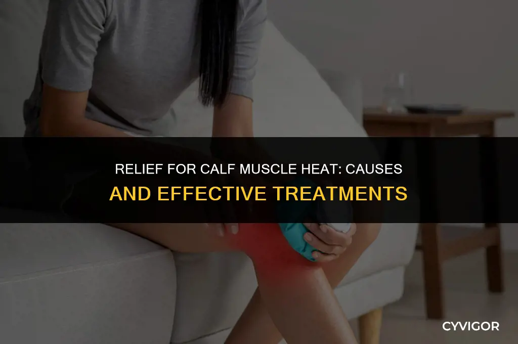 does put heat on calf muscle