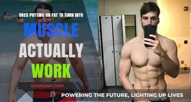 Can Gaining Fat Help Build Muscle? Debunking the Myth