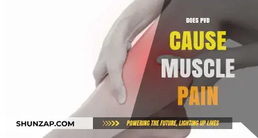 PVD and Muscle Pain: Is There a Link?