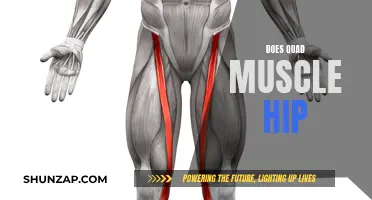 Unlocking Hip Power: Quad Muscle Secrets
