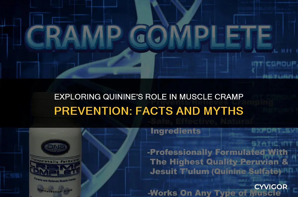 does quinine prevent muscle cramps