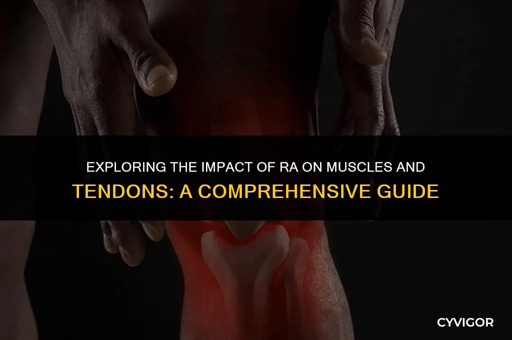 does ra affect muscles and tendons