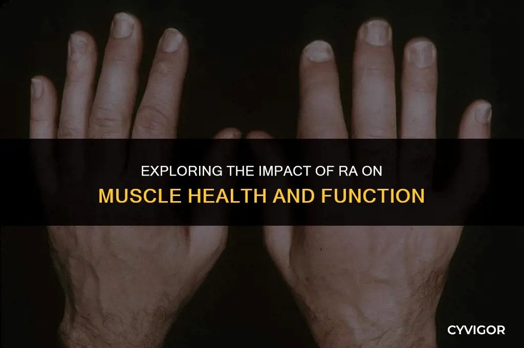 does ra affect muscles