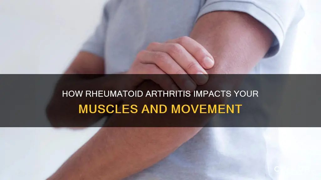 does ra effect the muscles