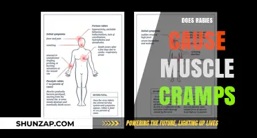 Rabies and Muscle Cramps: What's the Connection?