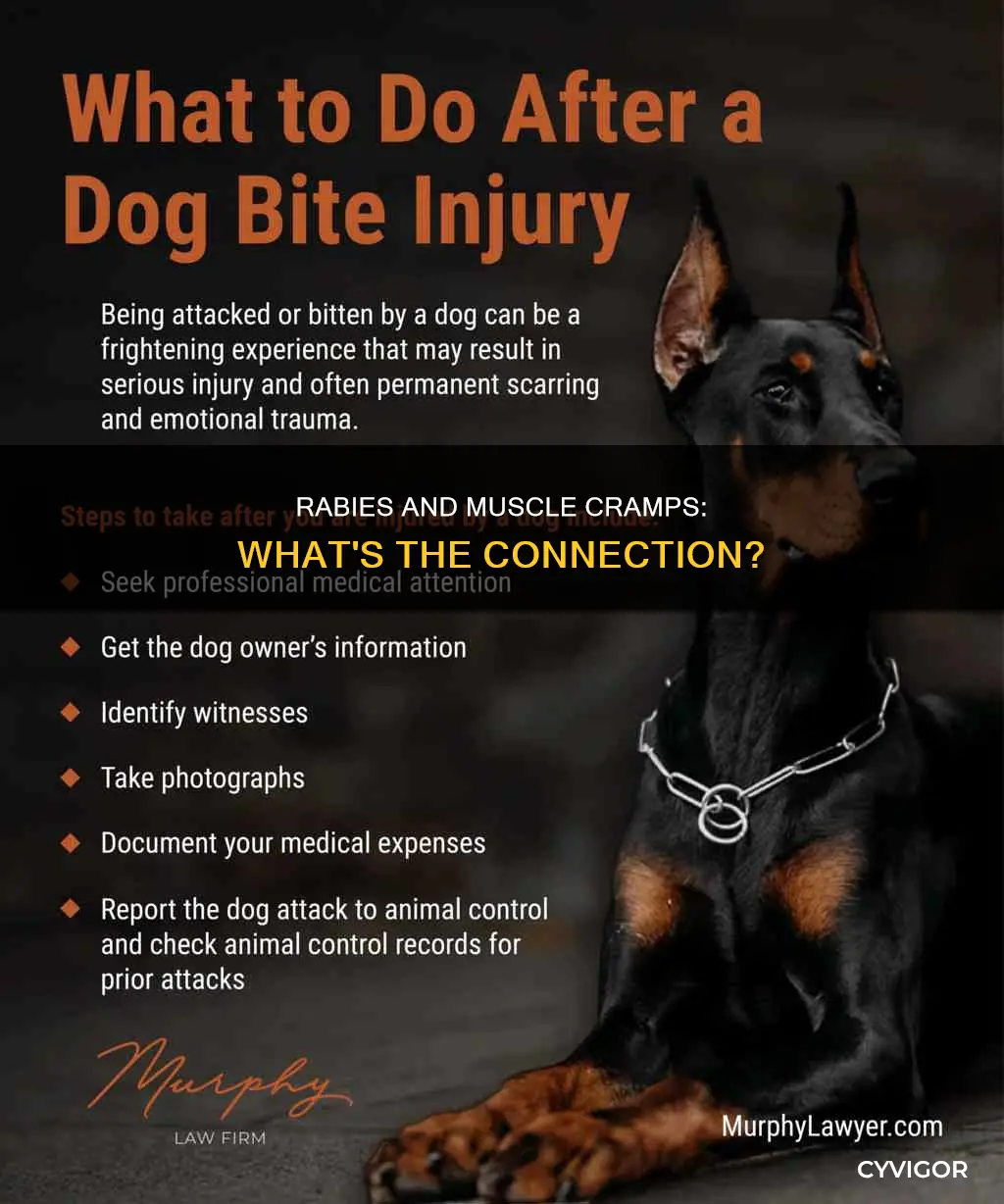 does rabies cause muscle cramps