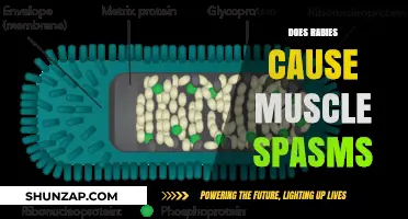 Rabies and Muscle Spasms: What's the Link?