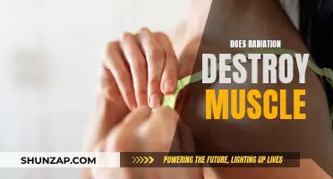 Radiation's Impact: Muscle Destruction and Recovery