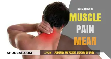 Understanding Random Muscle Pain: Causes, Concerns, and When to Seek Help
