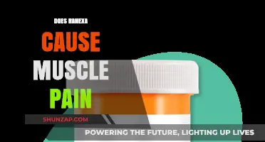 Ranexa and Muscle Pain: What's the Link?
