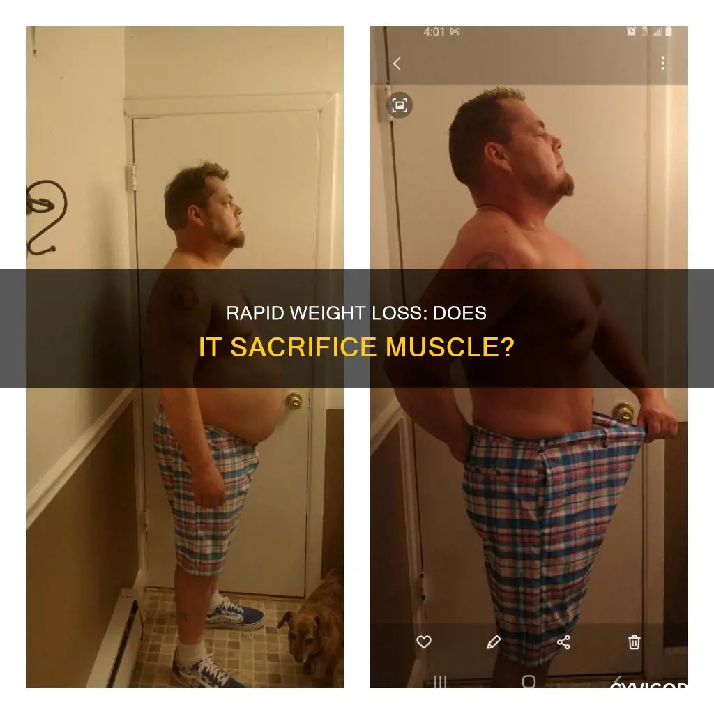 does rapid weight loss cause muscle loss