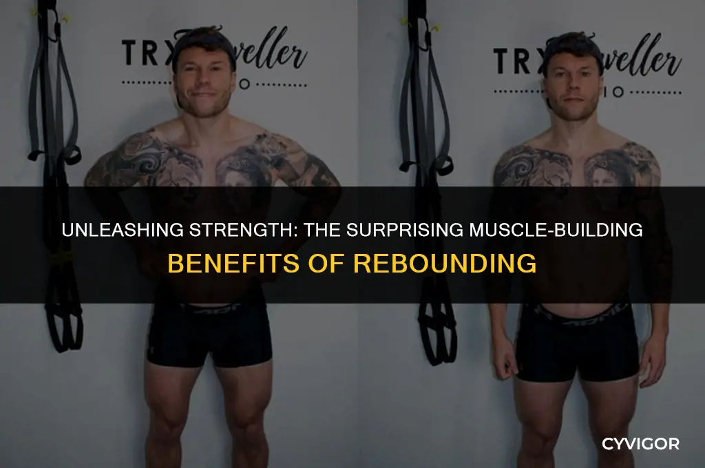 does rebounding build muscle