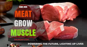 Red Meat and Muscle Growth: Fact or Fiction?