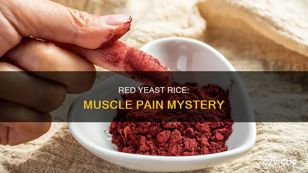 does red rice yeast cause muscle pain