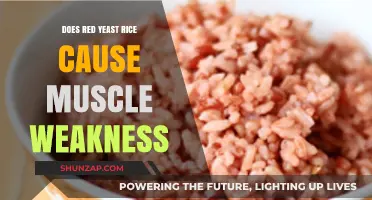 Red Yeast Rice: Muscle Weakness Side Effect?