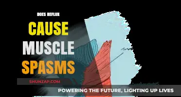 Reflux and Muscle Spasms: What's the Connection?