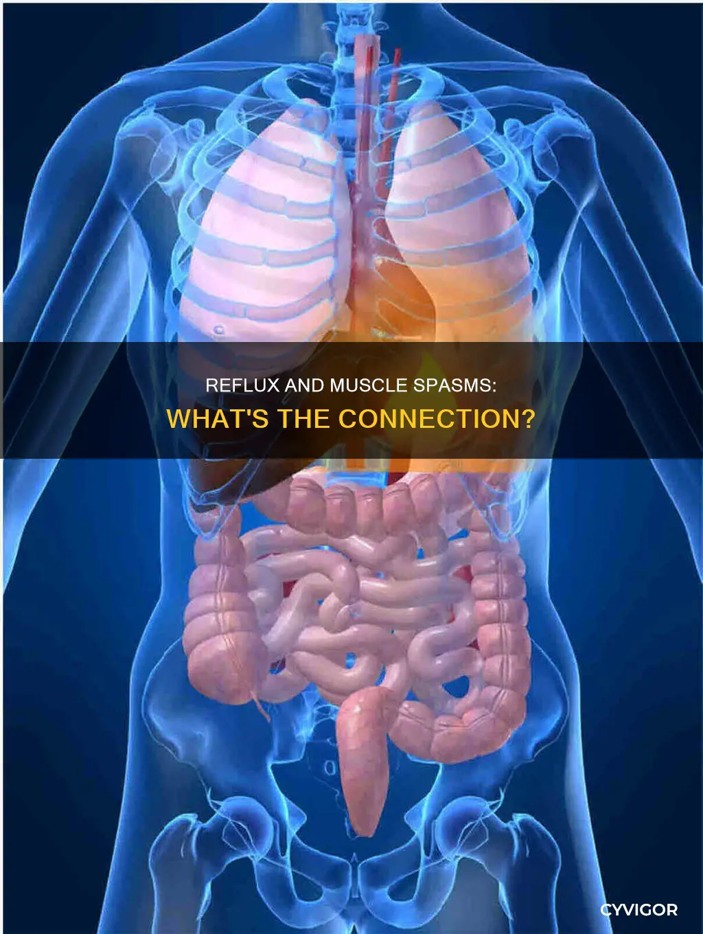 does reflux cause muscle spasms