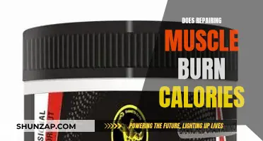 Repairing Muscles: Burning Calories and Building Strength
