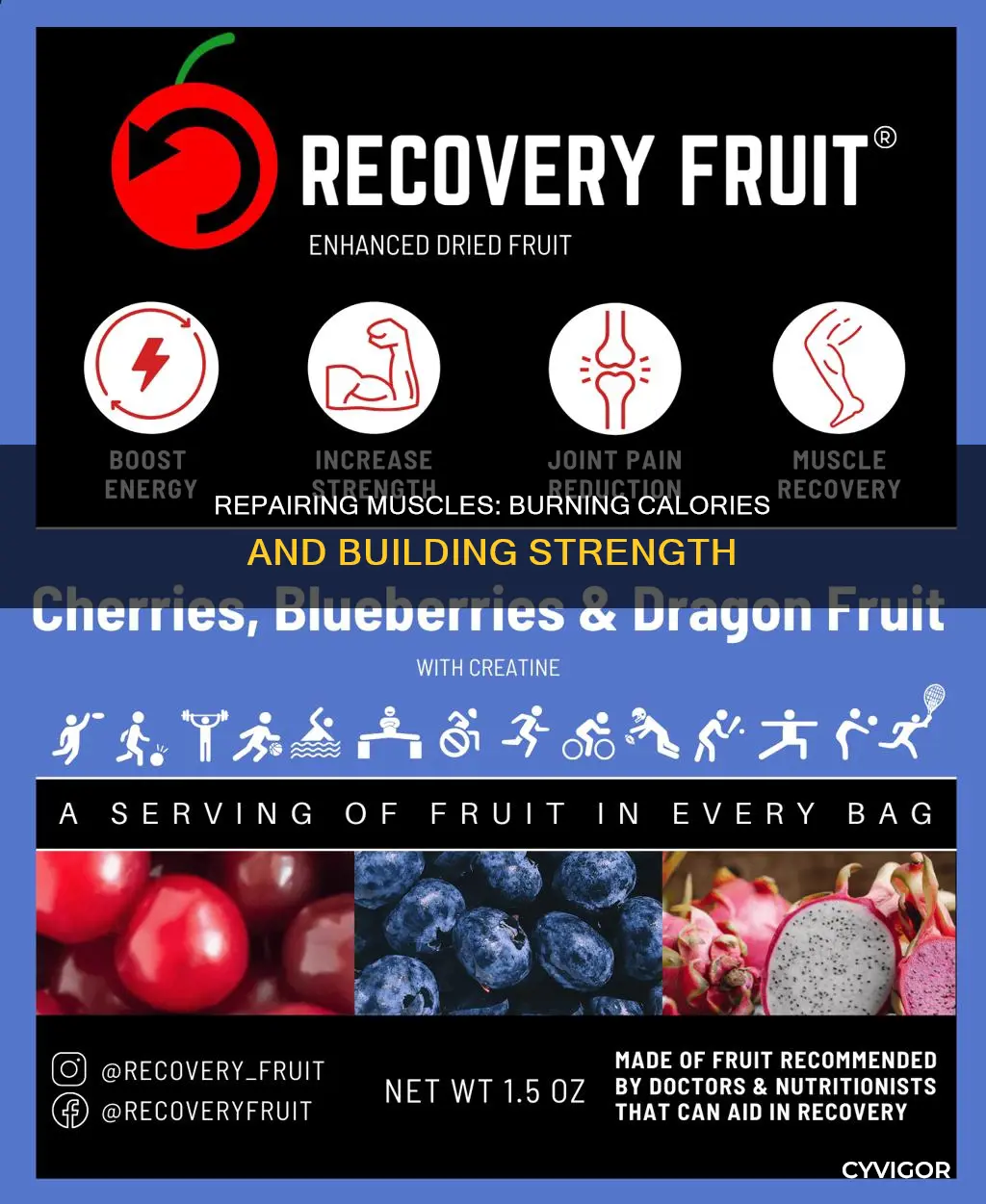 does repairing muscle burn calories