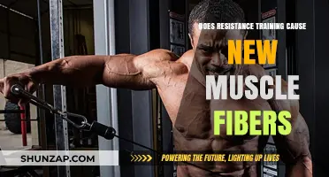 Resistance Training: Can It Create New Muscle Fibers?