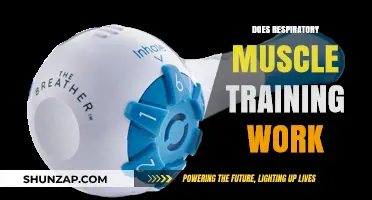 Does Respiratory Muscle Training Work? Unlocking Breathing Potential