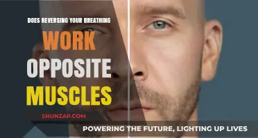 Reversing Breathing Patterns: Engaging Opposite Muscles for Better Health?