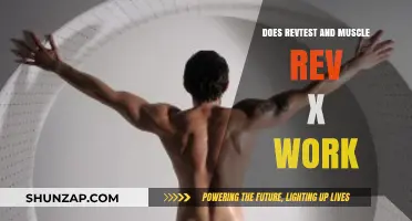RevTest and Muscle Rev X Review: Do These Supplements Deliver Results?